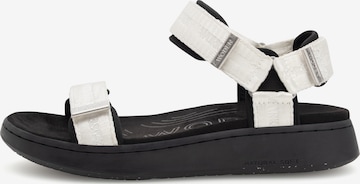 WODEN Sandaler 'Line Heritage' i hvid: forside