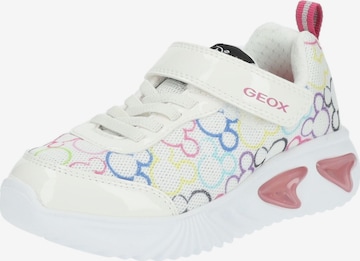 Baskets GEOX en blanc : devant