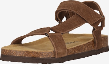 NOU Sandal 'Cyprian' in Brown: front