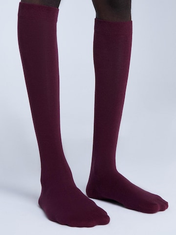Albero Natur Knee High Socks in Red