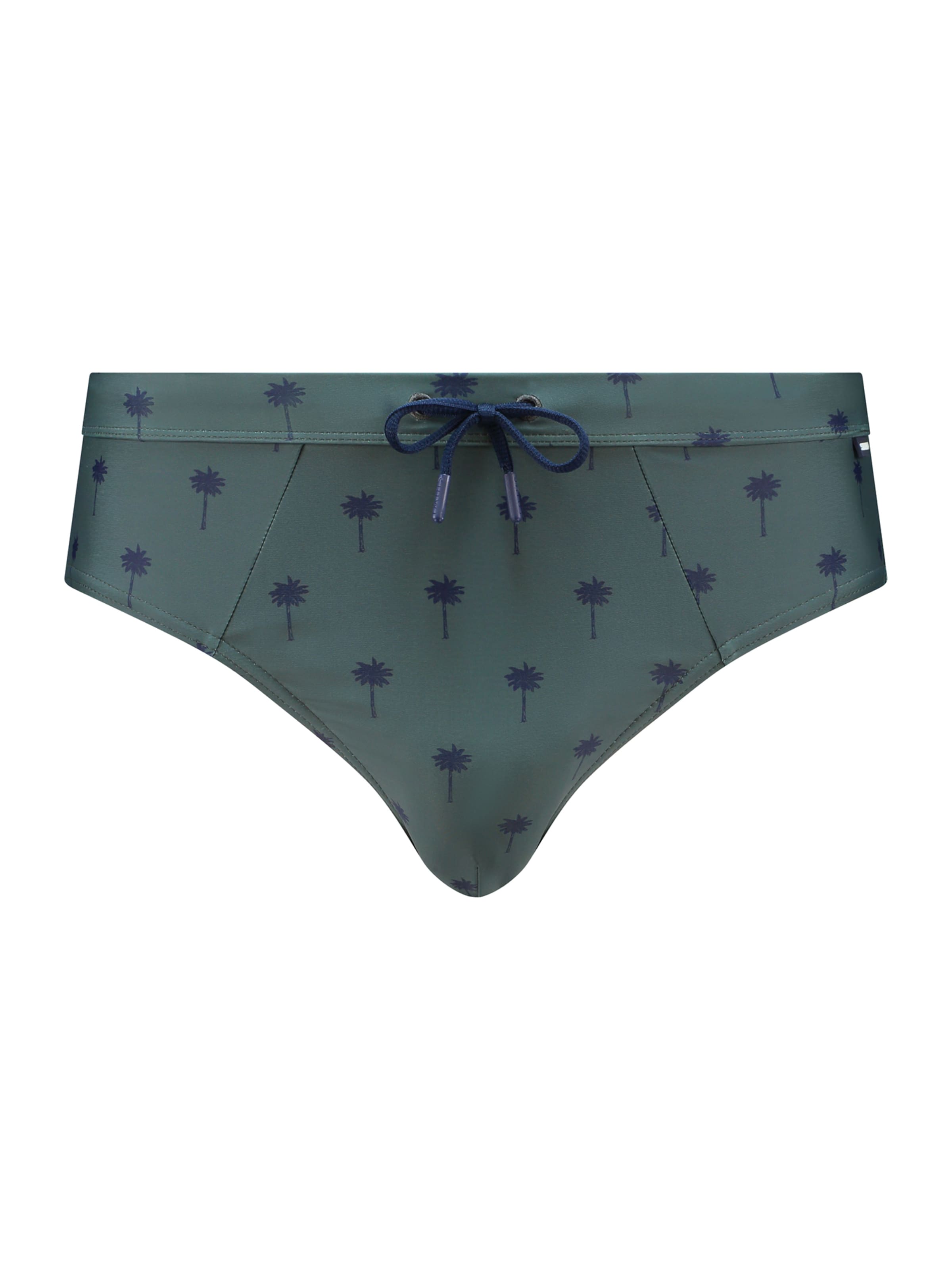 Shiwi Плавки в Зеленый, Обзор товара