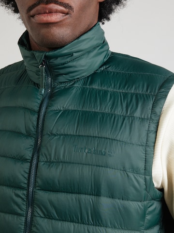 Gilet di TIMBERLAND in verde
