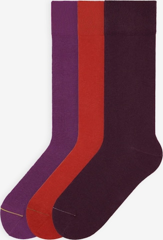 Von Jungfeld Socks 'SIGNATURE Set' in Red: front