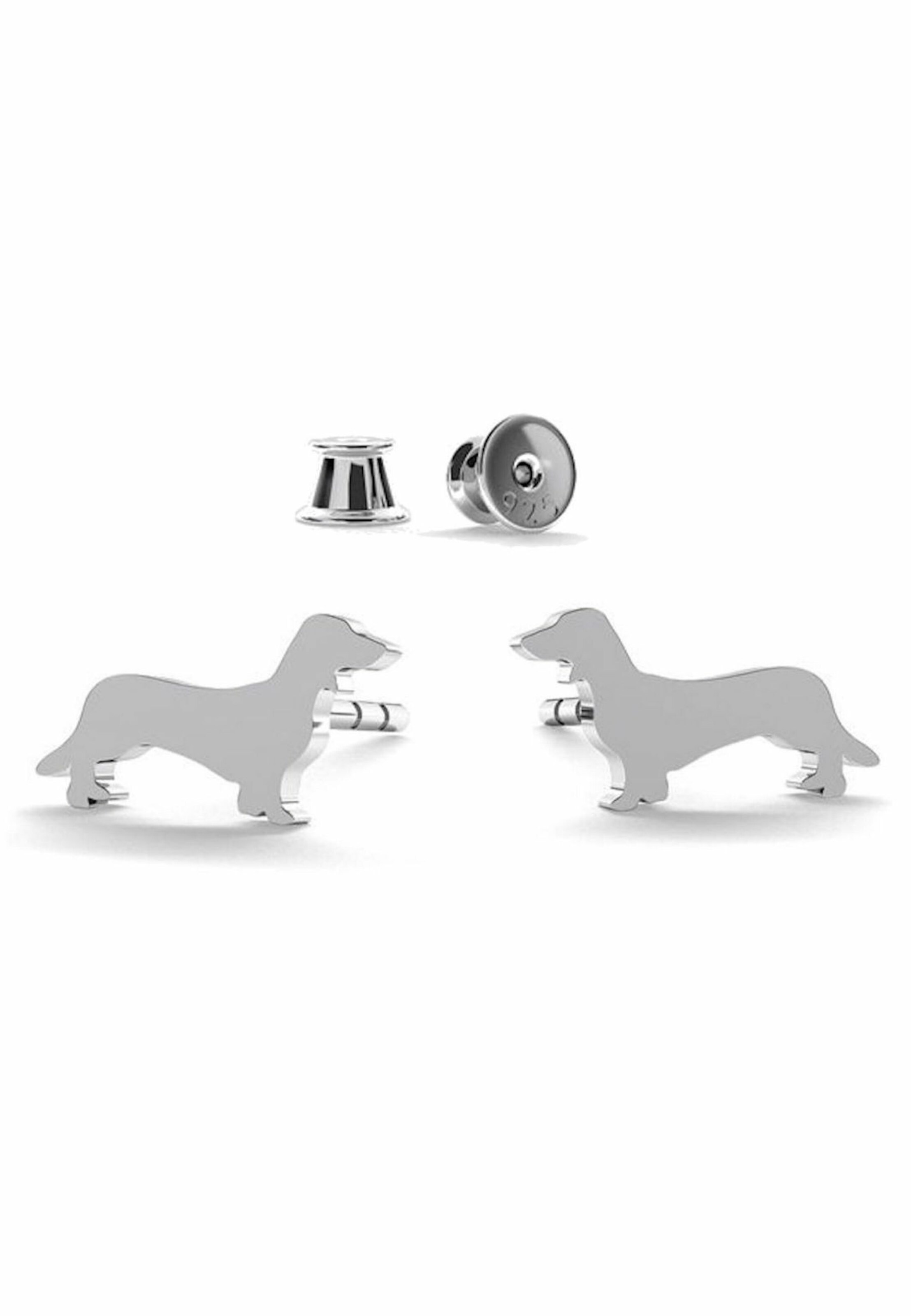 Gemshine Earrings in Silver