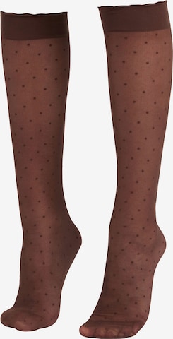 CALZEDONIA Knee High Socks in Brown: front