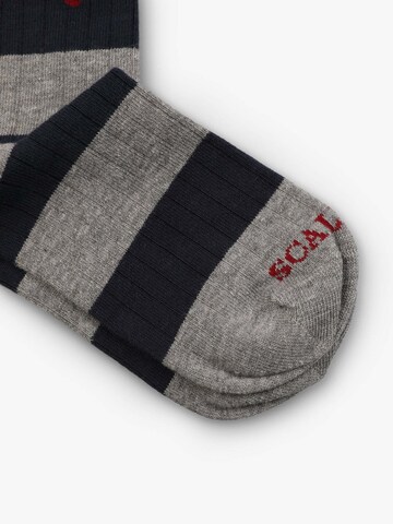 Scalpers Къси чорапи 'Rugby' в сиво