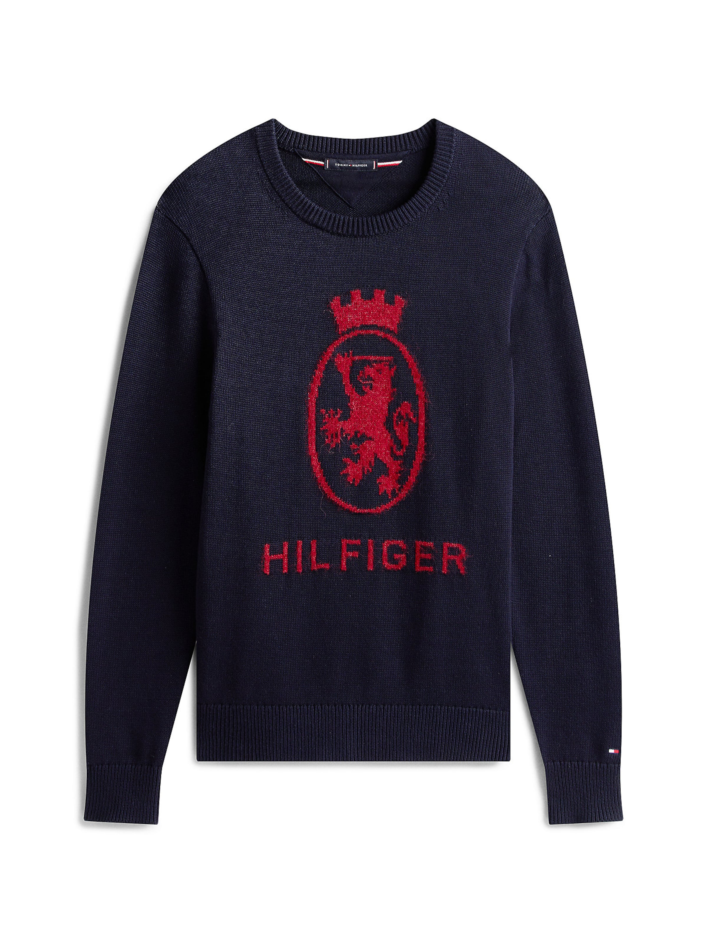 Pull-over TOMMY HILFIGER en bleu : devant