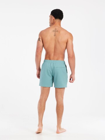 PROTEST Board Shorts 'PRTWytona' in Green