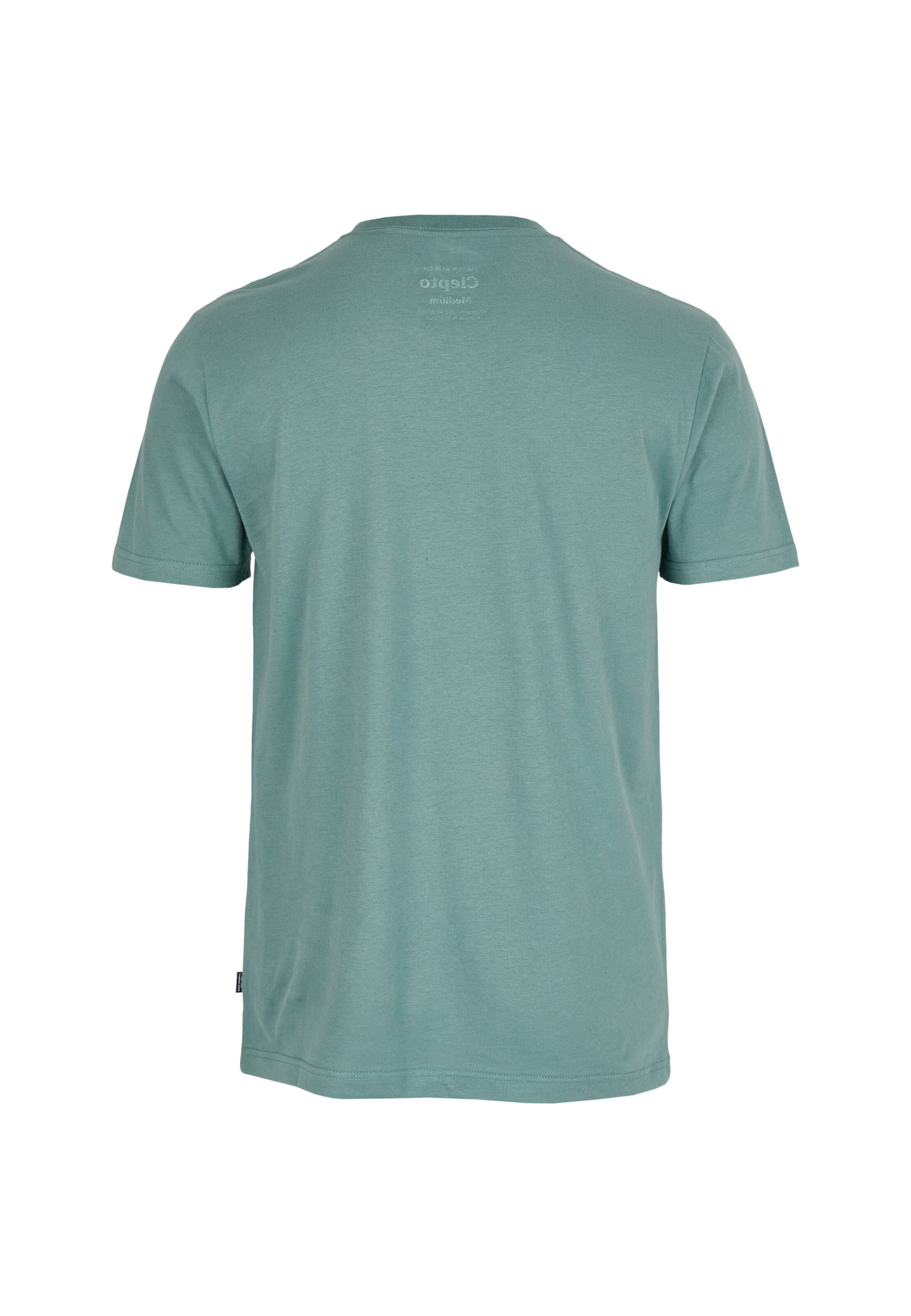 Cleptomanicx Shirt 'Ligull Regular' in Green
