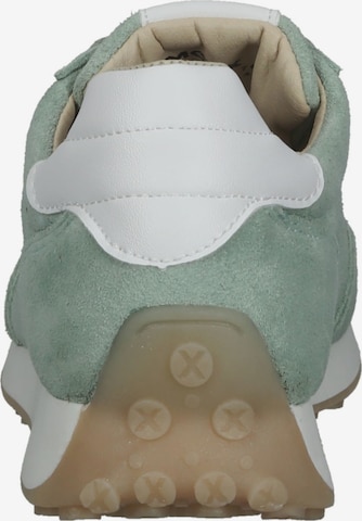 MEXX Sneakers laag in Groen