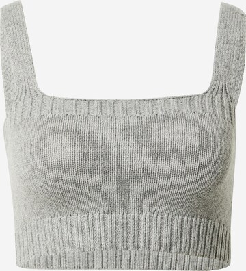 Top in maglia 'Spruce Up' di florence by mills exclusive for ABOUT YOU in grigio: frontale