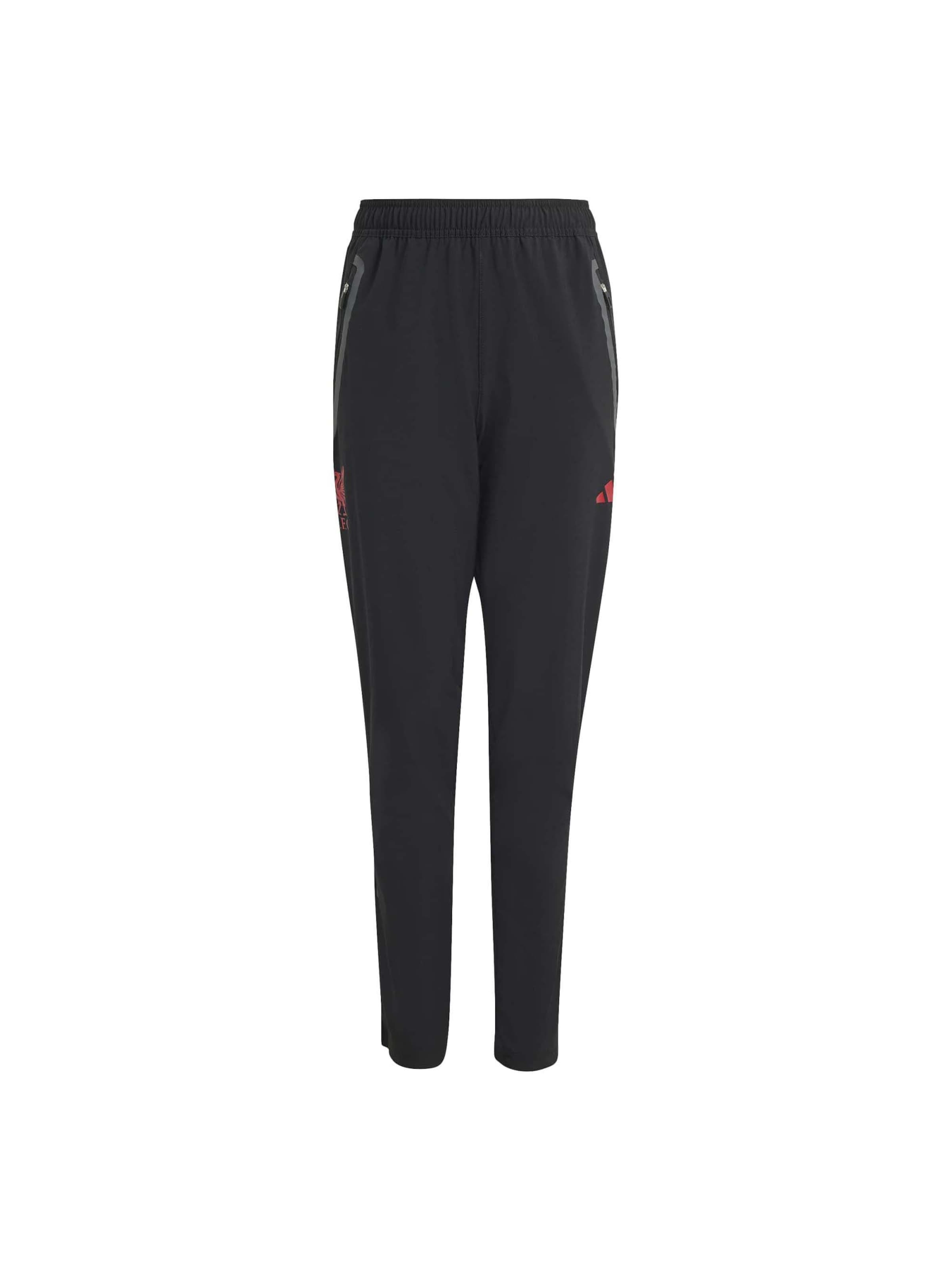ADIDAS SPORTSWEAR Slim fit Sports trousers 'LFC' in Black: front