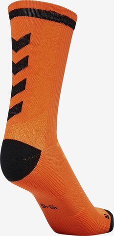 Hummel Sokken 'ACTION INDOOR' in Oranje