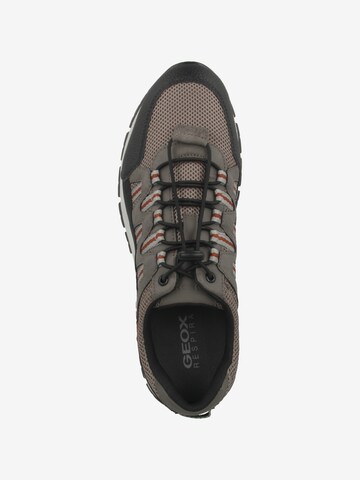 GEOX Sneaker in Schwarz