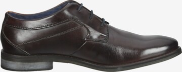 bugatti Lace-Up Shoes 'Malco' in Brown