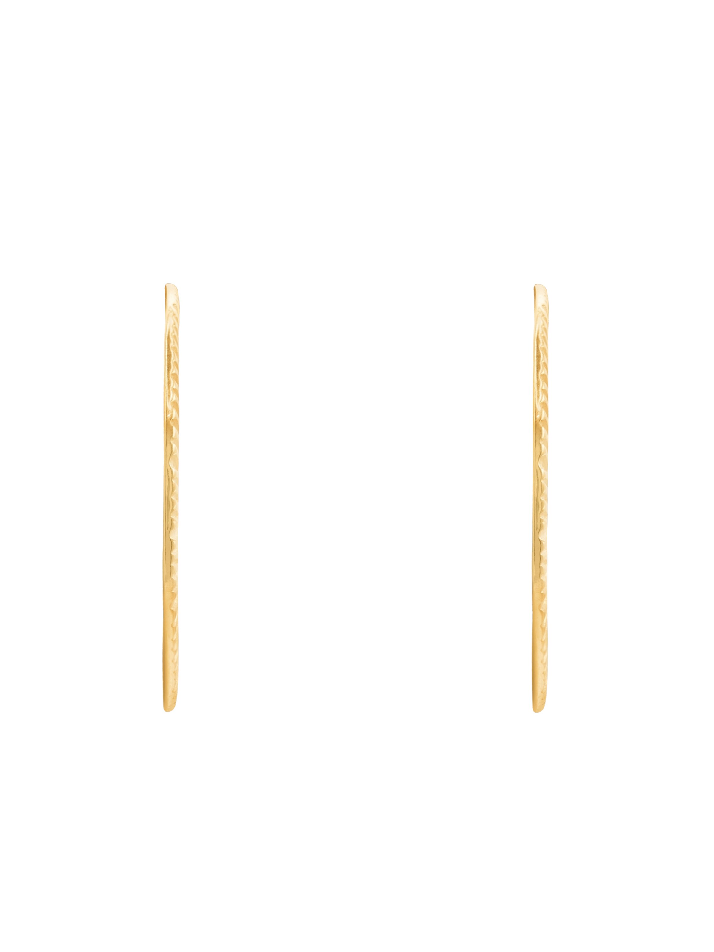 Heideman Earrings in Gold
