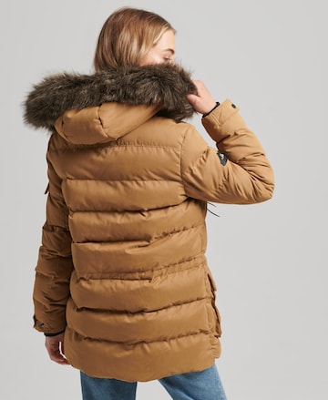 Superdry Winterparka in Bruin