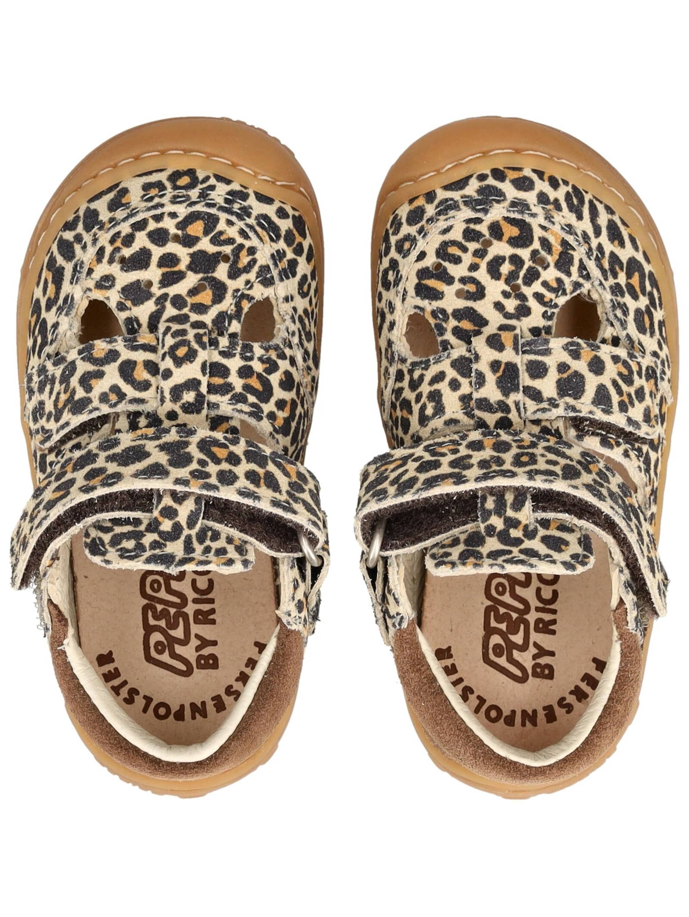 Pepino Sneakers in Bruin