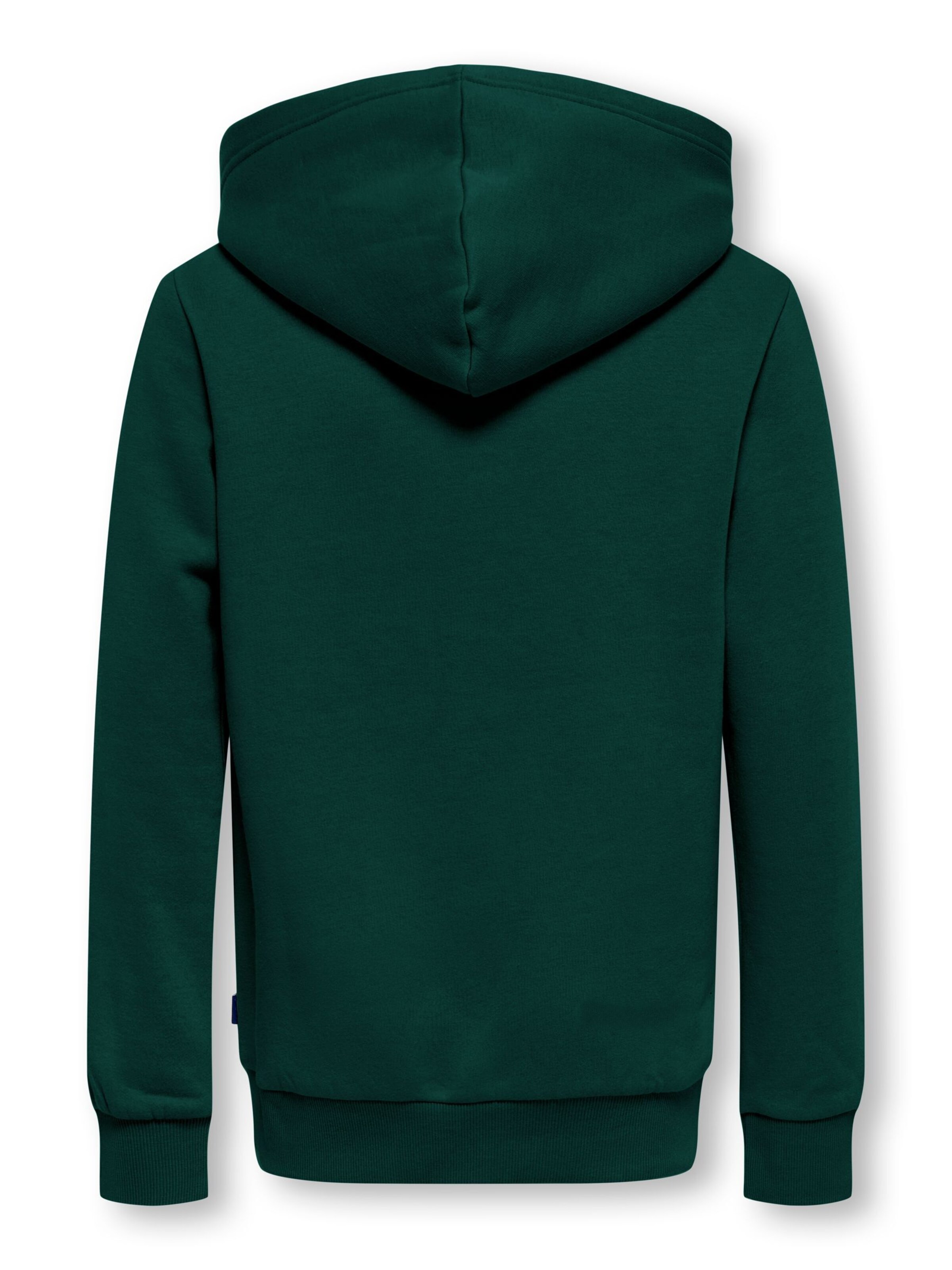 Only & Sons Junior Sweatshirt 'OSJCeres' in Green