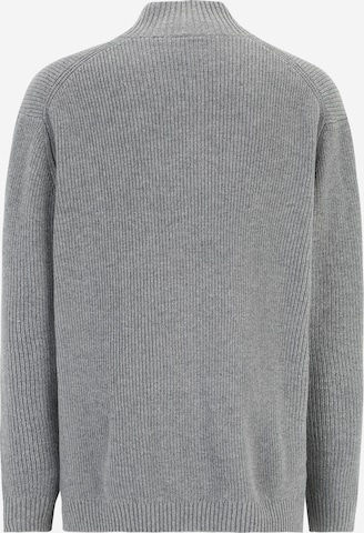 Lyle & Scott Big&Tall Sweater in Grey