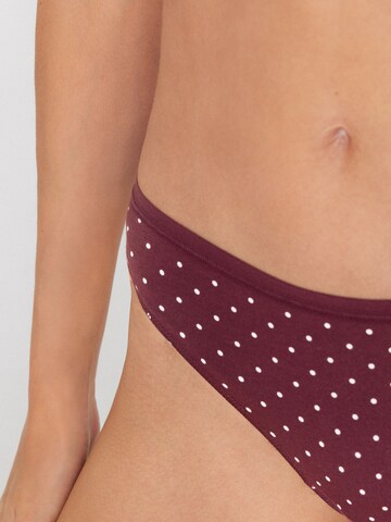 Tezenis Panty in Red
