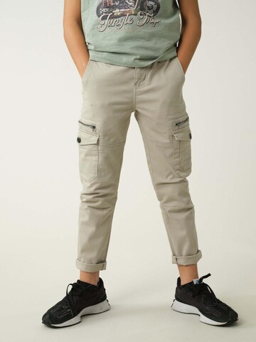 Coupe slim Pantalon 'Danakil' Deeluxe en gris : devant