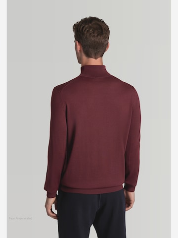 Pullover di MAERZ Muenchen in rosso: dietro