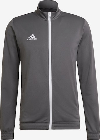 ADIDAS SPORTSWEAR - Casaco de treino 'Entrada 22' em cinzento: frente