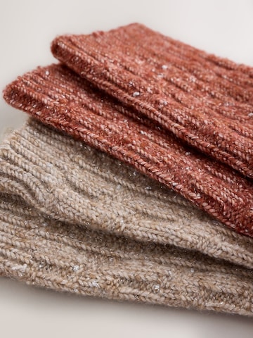 Next Socks in Beige