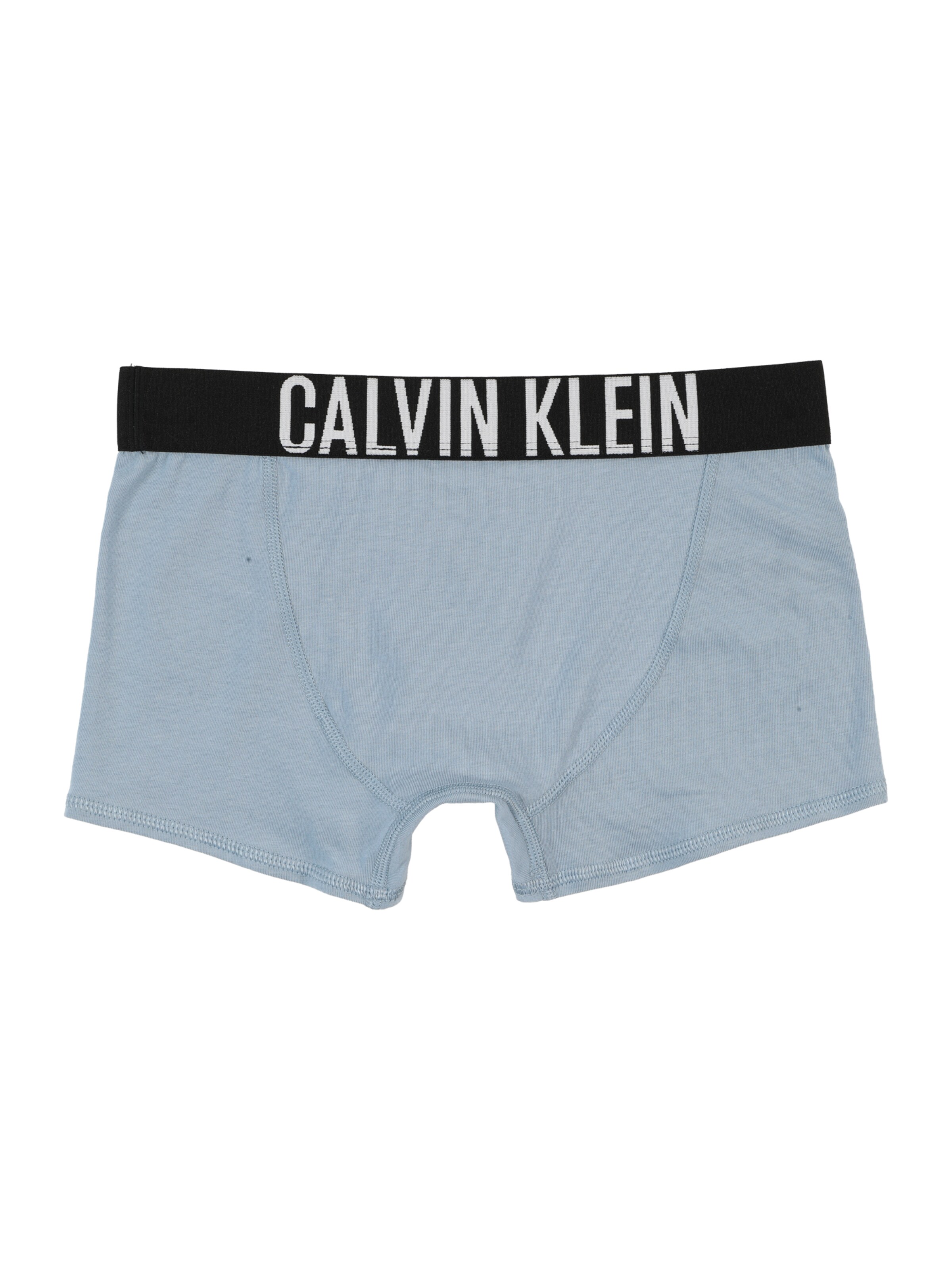 Calvin Klein Underwear Обычный Трусы в Синий