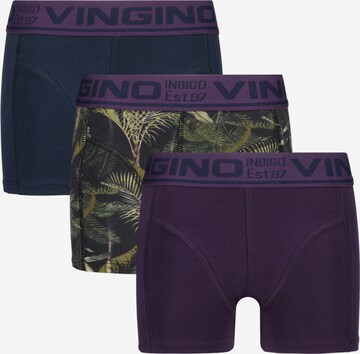 VINGINO Underpants 'PALM' in Purple