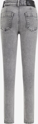 WE Fashion Skinny Jeans in Grey