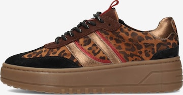 Baskets basses 'Anemone' PS Poelman en marron : devant