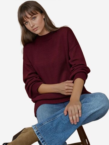 Hiccup Sweter w kolorze czerwony