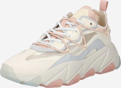 Sneaker low ASH pe opal / roz deschis / alb, Vizualizare produs
