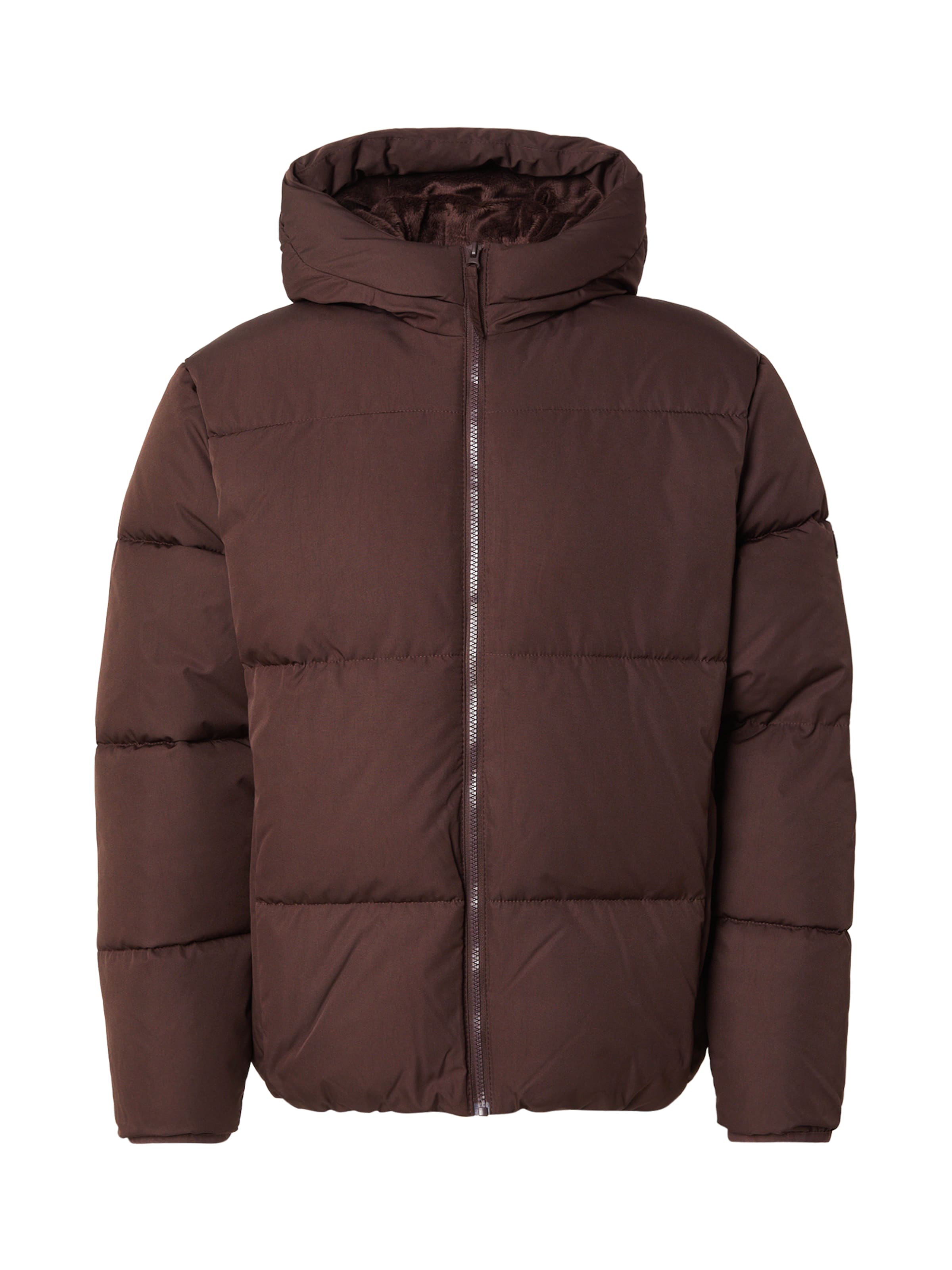 HOLLISTER - Chaqueta de invierno en marrón: frente