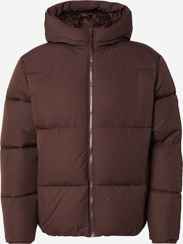 ruda HOLLISTER Žieminė striukė: priekis