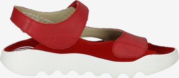 Softinos Sandals in Red