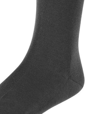FALKE Socks 'Cotton Finesse' in Black