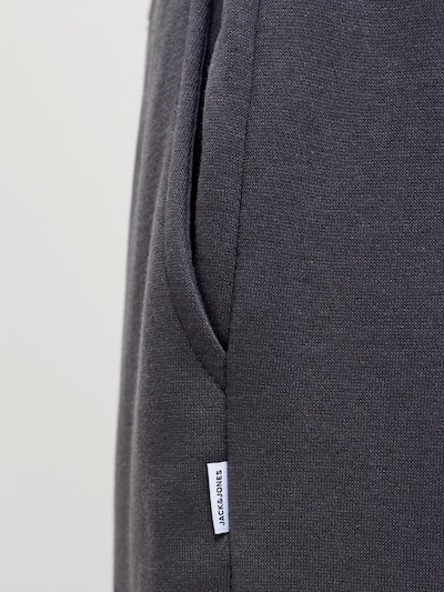 Pantaloni 'JPSTBILL BRADLEY' in 29-30 JACK & JONES di colore grigio, Visualizzazione prodotti