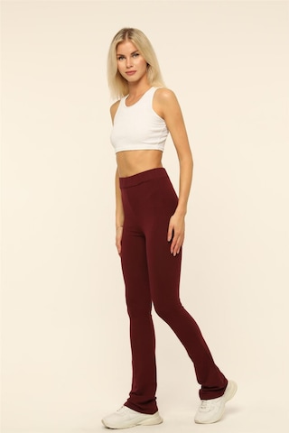 HOME STORE Flared Jeggings in Rot