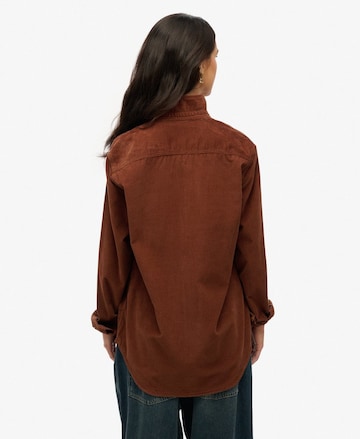 Superdry Tussenjas in Bruin