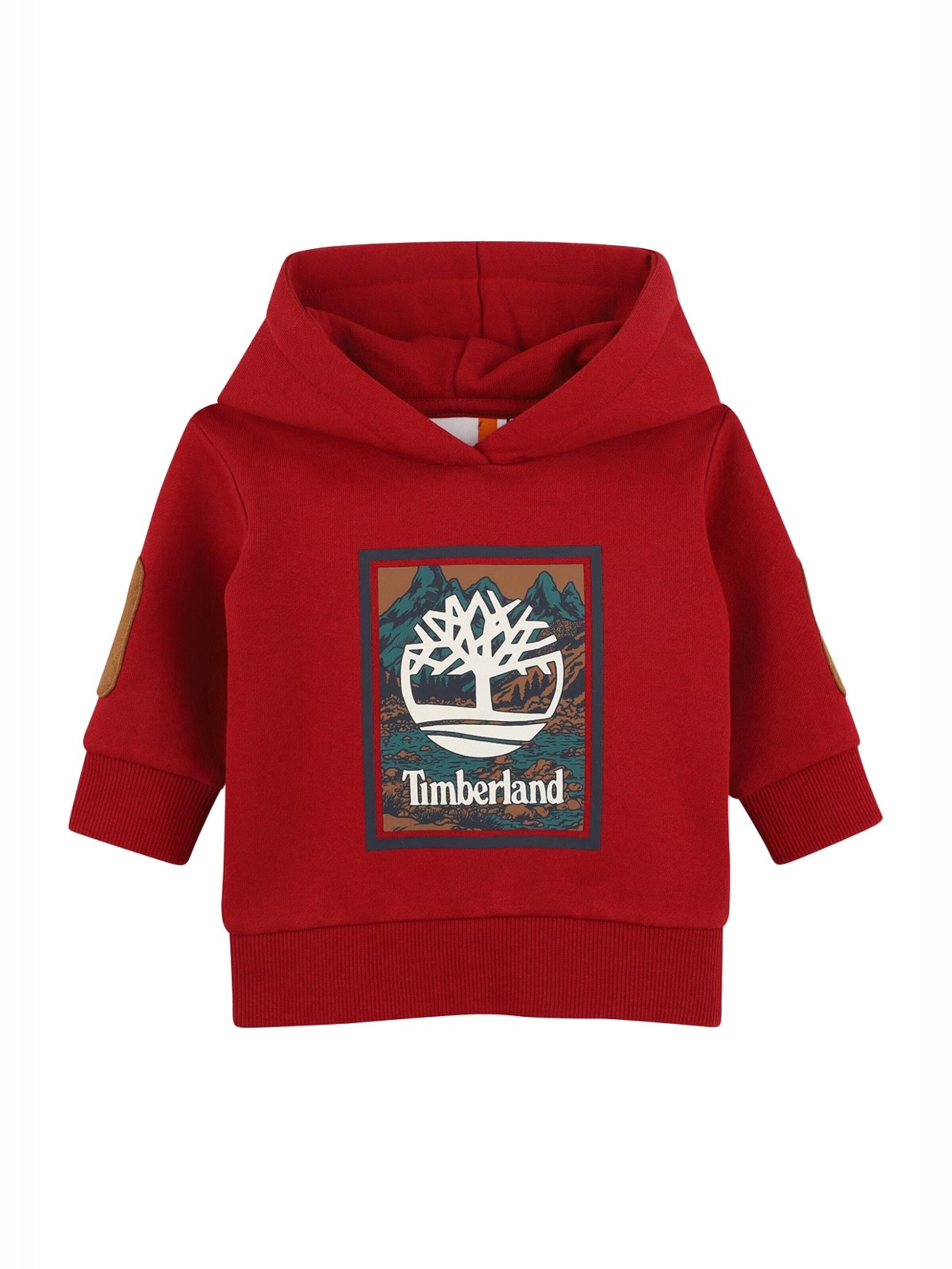 Felpa di TIMBERLAND in rosso: frontale