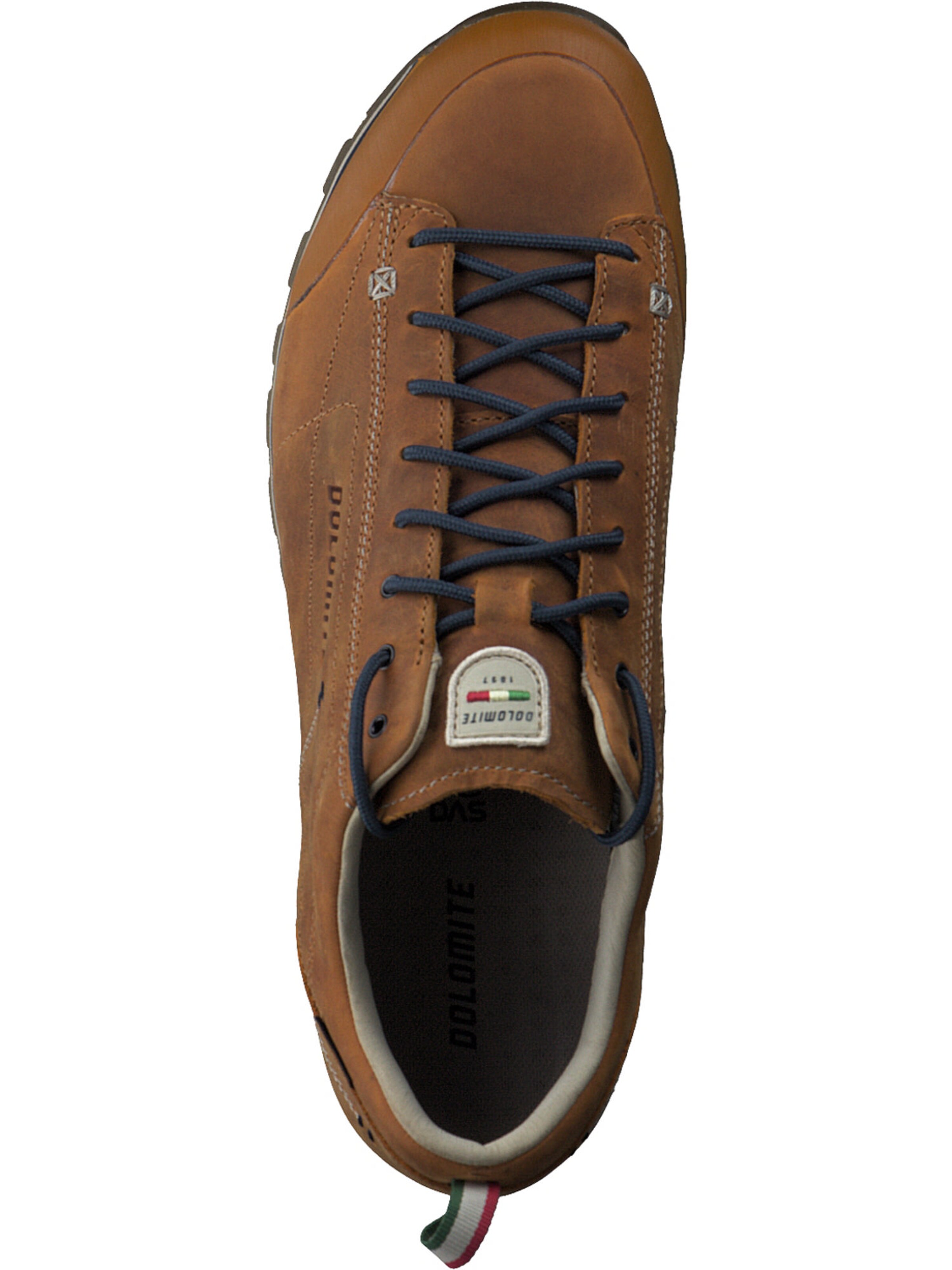 Dolomite Lace-up shoe in Brown