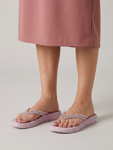 Tongs 'Cheerful 08M' ILSE JACOBSEN en violet : devant