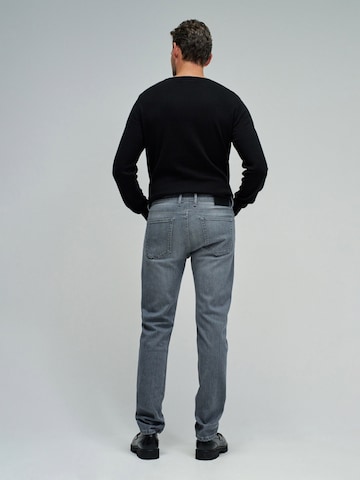 Salsa Jeans Slimfit Jeans in Grau