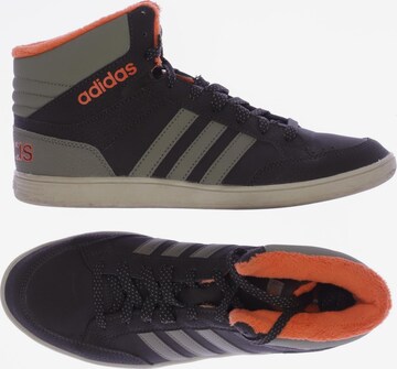 ADIDAS NEO Sneakers & Trainers in 39,5 in Brown: front