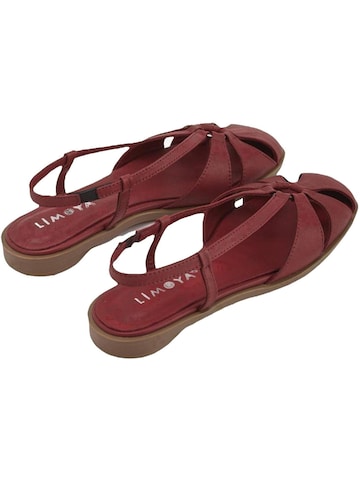 Limoya Sandaal 'Cally' in Rood