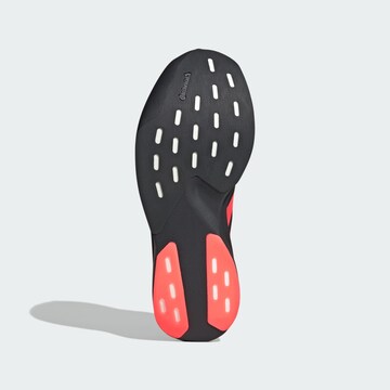 Chaussure de course 'Adizero EVO' ADIDAS PERFORMANCE en gris