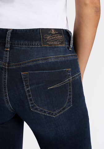 Herrlicher Flared Jeans in Blue